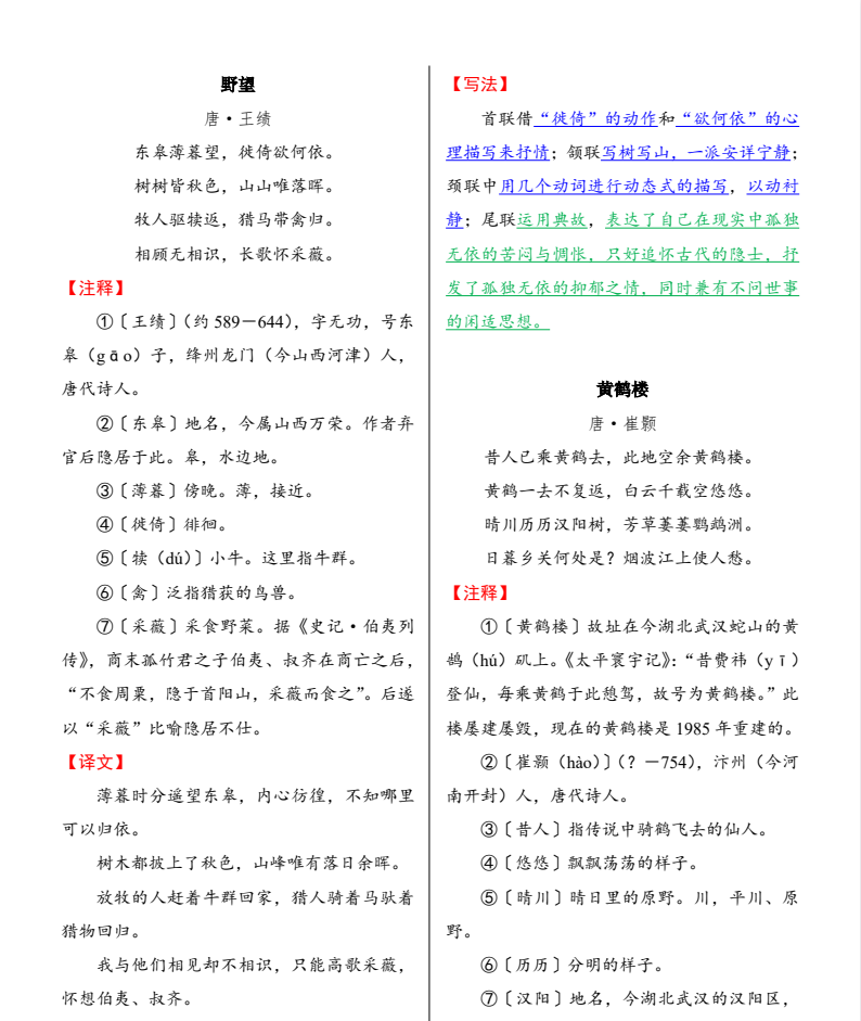初中语文《古诗鉴赏+文言文基础问答》25秋（RJ8上）