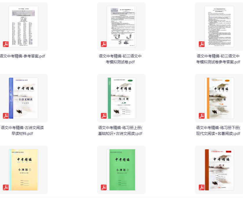 2026版深圳语文中考精编 第11版全套