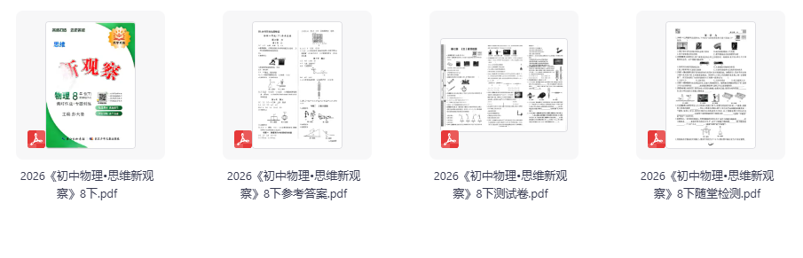 2026《初中物理•思维新观察》作业专题训练8下