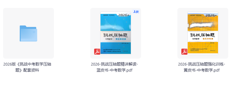 2026版初中【挑战压轴题】强化训练+精讲精练（数学）