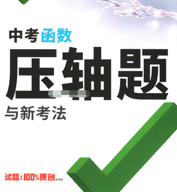2026版万唯中考《函数压轴题与新考法》方法册+练习册