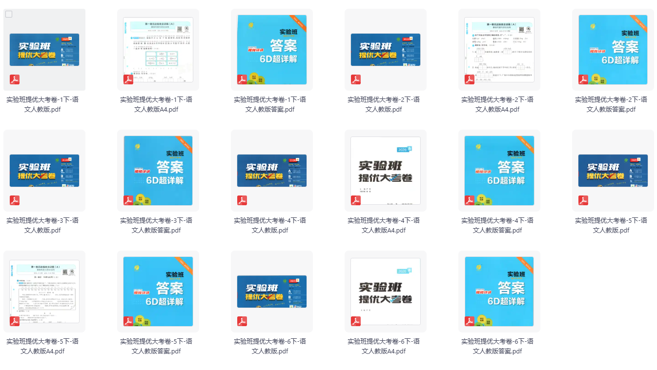 2026版实验班提优大考卷（1-6年级下册语文合集）