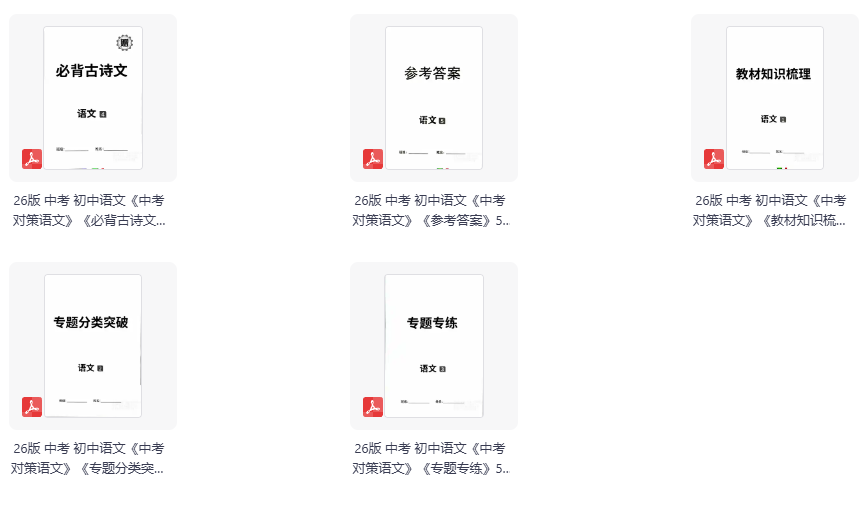 2026版《中考对策》语文、数学、物理、化学 山东版